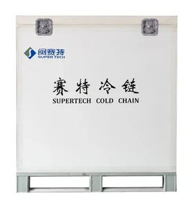 Cold Chain Pallet Container (Detachable)