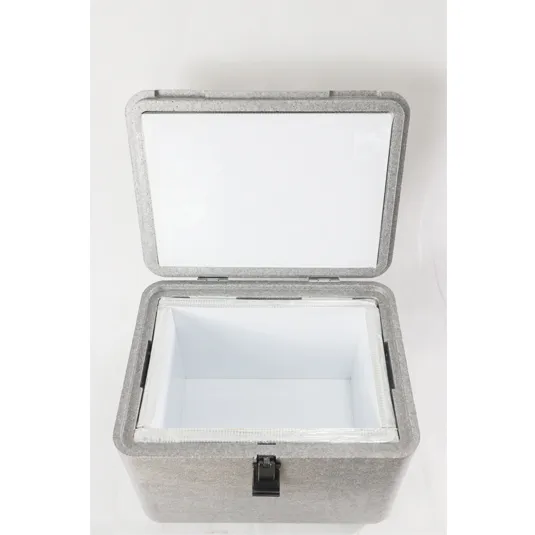 EPP-VIP Insulated Box