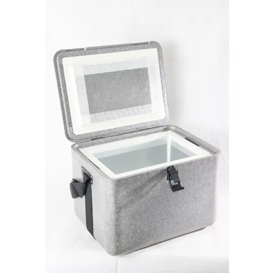 EPP-VIP Insulated Box