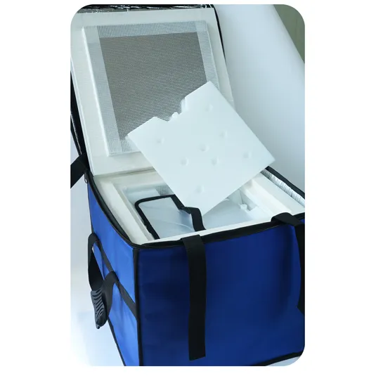 Hollow Insulated Box