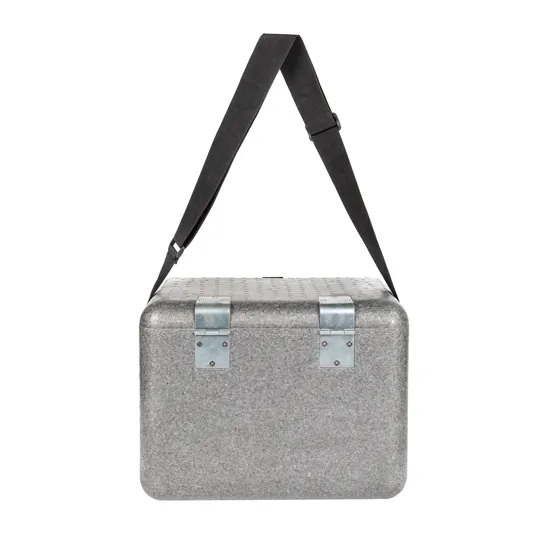 EPP-VIP Insulated Box