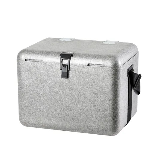 EPP-VIP Insulated Box