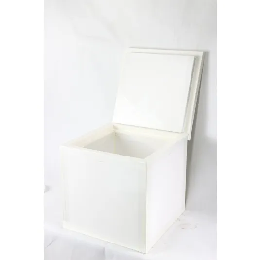 Integrated Vacuum Insulated Box