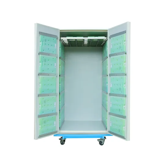 large insulated container kinds