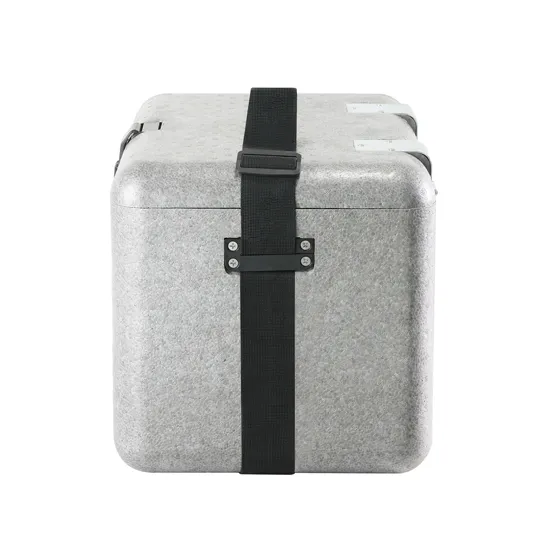 EPP-VIP Insulated Box