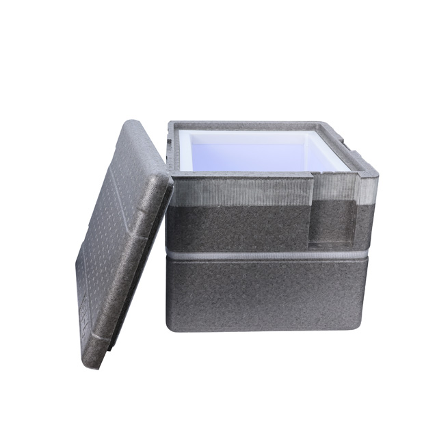 vaccine cold chain packaging manufacturers