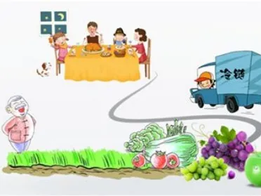 What Is the Service Scope of Cold Chain Logistics?