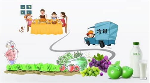 what-is-the-service-scope-of-cold-chain-logistics.png