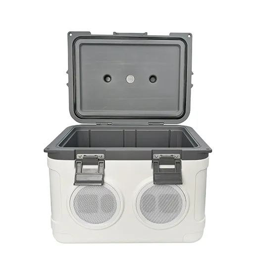 vacuum cooler box spv bib series 21l for sale
