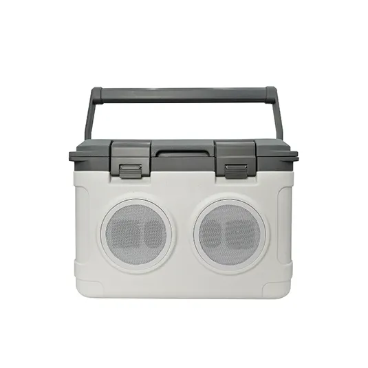 Vacuum Cooler Box SPV-BIB Series 21L