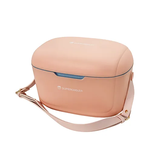 vacuum cooler box spv eb series 6l 3