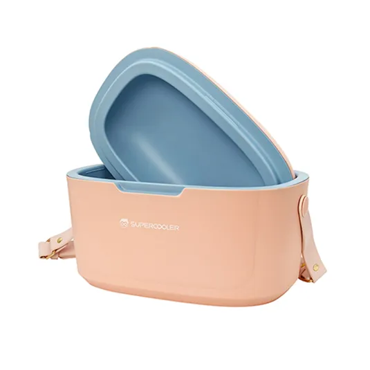 vacuum cooler box spv eb series 6l china