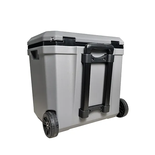 vacuum cooler box spv ib series 38l china