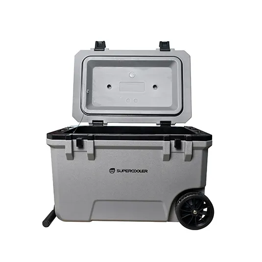vacuum cooler box spv ib series 50l sale