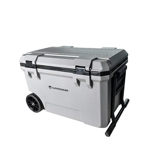 vacuum cooler box spv ib series 50l supplier