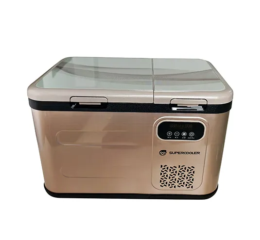 Vacuum Cooler Box SAV-DMR