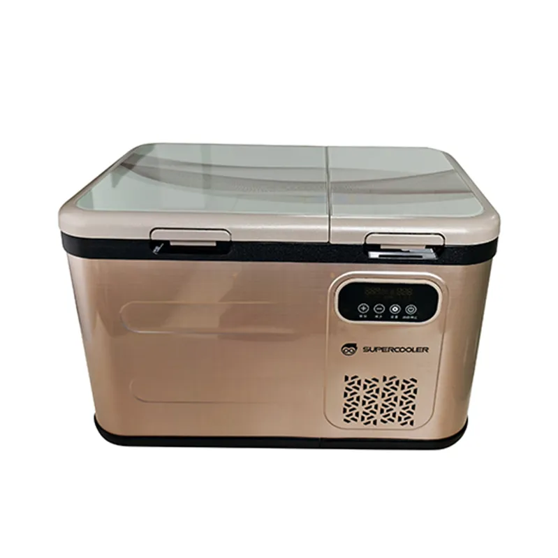 Vacuum Cooler Box SAV-DMR
