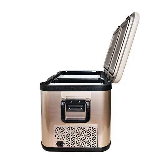 Vacuum Cooler Box SAV-DMR