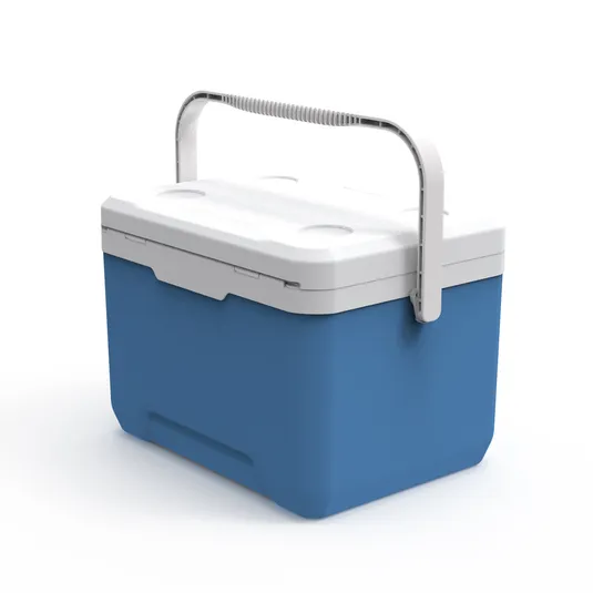 Vacuum Cooler Box SPV LB 22L