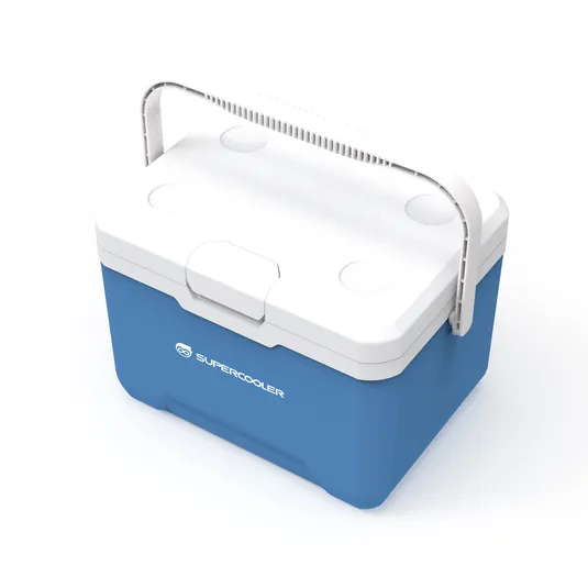 Vacuum Cooler Box SPV LB 22L