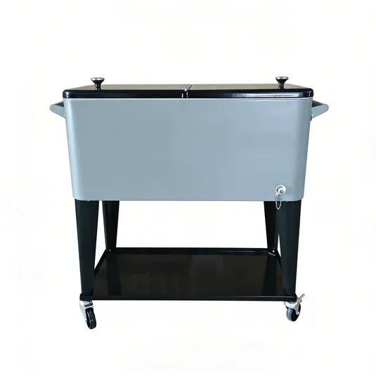 Vacuum Cooler Box SPV RPC 75L