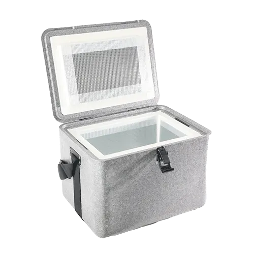 in-20-northern-winter-how-do-you-safely-transport-2-8-refrigerated-medicines-3.png